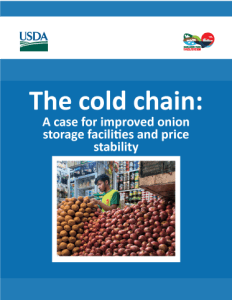 A case for improved onion storage facilities and price stability